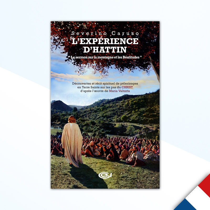Livre L'experience d'Hattin